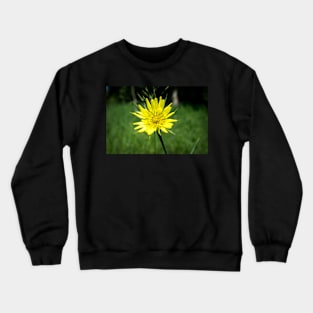 Flower power Crewneck Sweatshirt